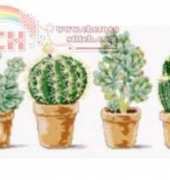 DMC FCE-0524 - The Cacti / Les Cactus
