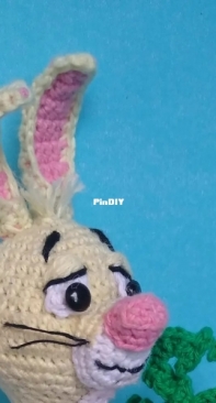 My bunny. Abel pattern
