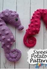 My Sweet Potato 3 - Christine Mitchell - Pygmy Seahorse