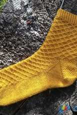 Patio Socks by Jess Reale-Free