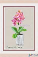 Orchid by Maria Brovko - Free