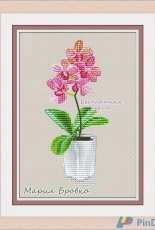 Orchid by Maria Brovko - Free