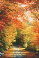 Shinysun Autumn in new England xsd