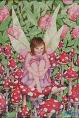 HAED HAEKRM 188 Toadstools by Kristin Mills