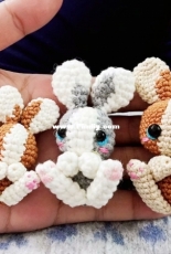 Funny rabbit