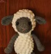 sheep