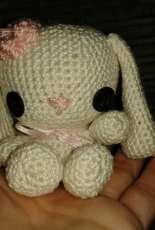 rabbit