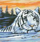 Kustom Krafts White Tiger Sunset NNT-050
