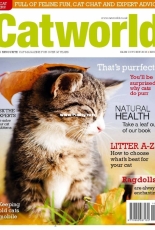 Cat World – October 2018