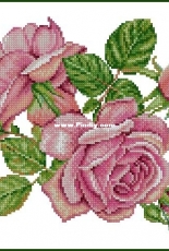 Pink Roses by Anna Petunova XSD