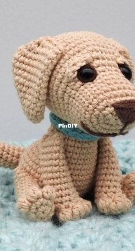 Patch Cat Crafts - Kelly Marcia - Labrador