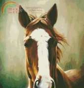 HAED Jeannies Boy by Teri Rosario