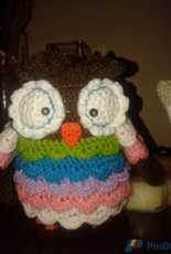 owl