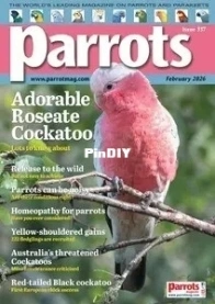 Parrots Magazine - February 2026