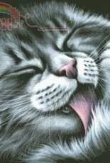HAED HAEIAG 1502 - Sweet Paw by Irina Garmashova