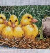 The Ugly Duckling