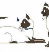 3 CHATS SIAMOIS