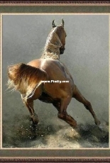 Art-goblen С.Неделчева / S. Nedelcheva Horse / Кон