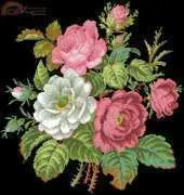Rose e Camelie