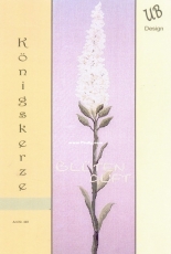 UB Design 448 - Königskerze