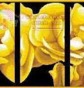 MonaLisa _ Yellow Roses tryptich