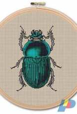 Khanna & Ilan Green Beetle by KHANNAandILAN