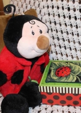 DIMENSIONS-LADYBUG