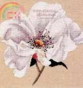 DMC - BK003 Wild Rose