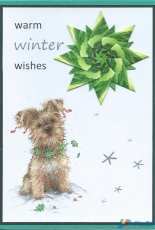 Christmas Doggie and Pickwick English Tea Blend 2