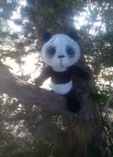 Perry The Panda
