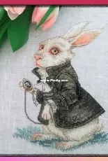 Mr. Rabbit by Victoria Ivchenko