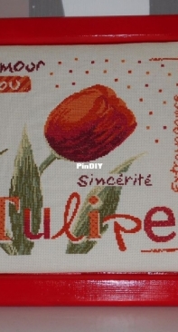 Tulip