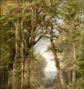 Golden Kite GK 1884 - Waldlichtung mit Wildbach und Rehwild (Forest with Stream and D