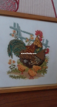 Chicken family