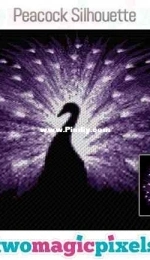 Two Magic Pixels - Peacock Silhouette