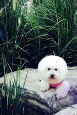a little girl