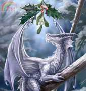 HAE-ANS104 Snow Dragon