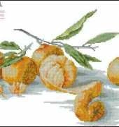 Luca-S-B2255 Still life with Tangerines XSD