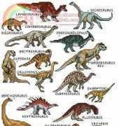 Jeanette Crews Designs - One Nighters 467 - 32 Dinosaurs PCS