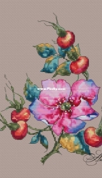 Ameli Stitch - Rosehip by Anna Smith (Kuznetsova)