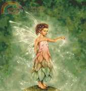 HAED HAERA 65991 Pixie Dust by Rachel Anderson