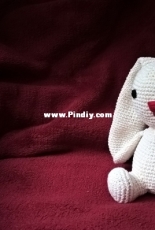 Sitting bunny