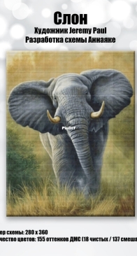 Elephant by Annayake xsd