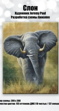 Elephant by Annayake xsd