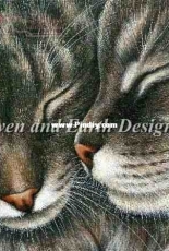 HAED HAEIAG 1254 Tabbies by Irina Garmashova PCS