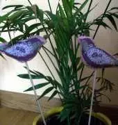 Birds DFEA