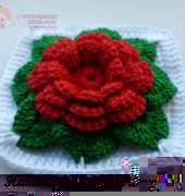 Luba Davies Atelier - Rose in square