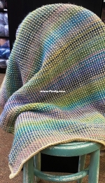 Gentle Moss Blanket by Cindy Edmonds-Free