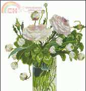 Alba_Maxima_Fujico_631 xsd