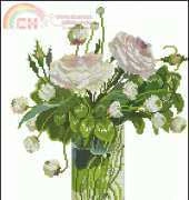 Alba_Maxima_Fujico_631 xsd